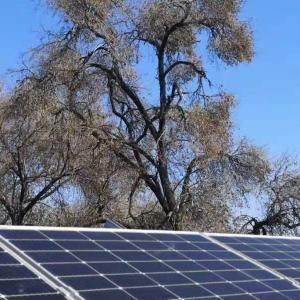 Hybrid PV Thermal Modules with electrical boiler for Heating in North of China